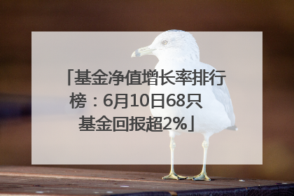 基金净值增长率排行榜：6月10日68只基金回报超2%