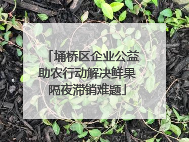 埇桥区企业公益助农行动解决鲜果隔夜滞销难题