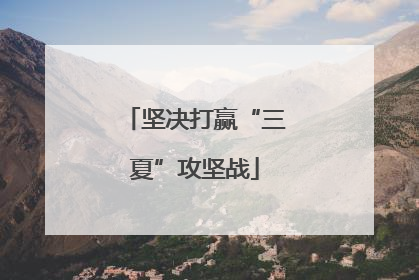 坚决打赢“三夏”攻坚战