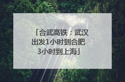 合武高铁：武汉出发1小时到合肥3小时到上海