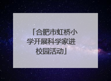 合肥市虹桥小学开展科学家进校园活动