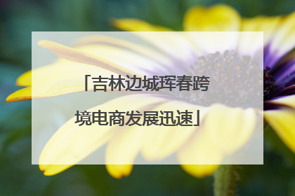 吉林边城珲春跨境电商发展迅速