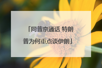 同普京通话 特朗普为何重点谈伊朗