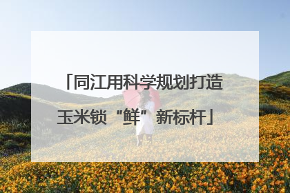 同江用科学规划打造玉米锁“鲜”新标杆