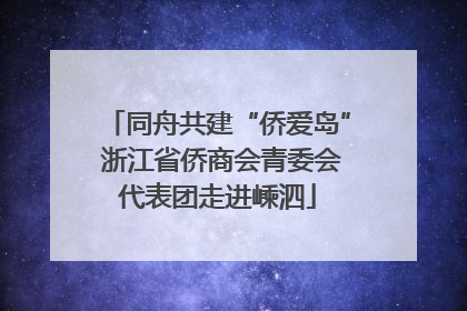 同舟共建“侨爱岛” 浙江省侨商会青委会代表团走进嵊泗