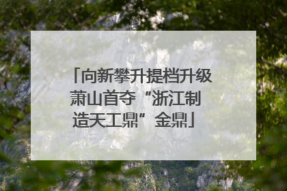 向新攀升提档升级 萧山首夺“浙江制造天工鼎”金鼎
