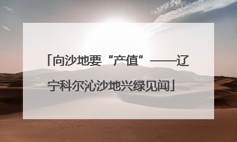 向沙地要“产值”——辽宁科尔沁沙地兴绿见闻