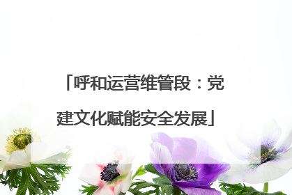 呼和运营维管段：党建文化赋能安全发展