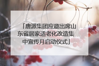 唐派集团应邀出席山东省居家适老化改造集中宣传月启动仪式