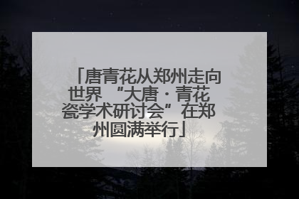唐青花从郑州走向世界 “大唐・青花瓷学术研讨会”在郑州圆满举行