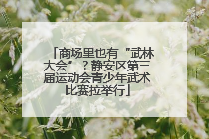 商场里也有“武林大会”？静安区第三届运动会青少年武术比赛拉举行