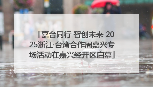 嘉台同行 智创未来 2025浙江·台湾合作周嘉兴专场活动在嘉兴经开区启幕