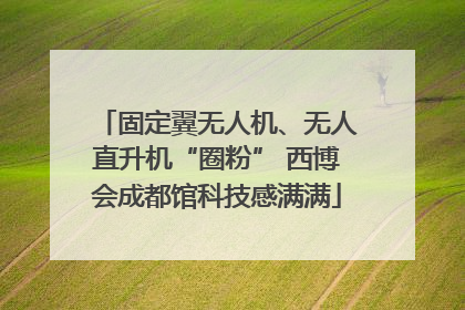固定翼无人机、无人直升机“圈粉” 西博会成都馆科技感满满