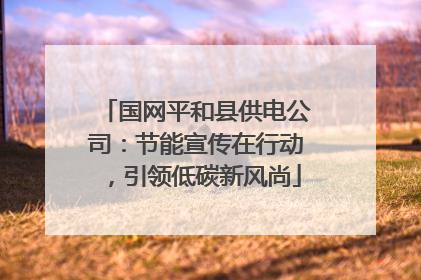 国网平和县供电公司：节能宣传在行动，引领低碳新风尚