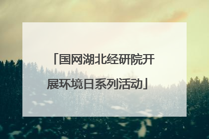 国网湖北经研院开展环境日系列活动