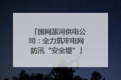 国网漯河供电公司：全力筑牢电网防汛“安全堤”