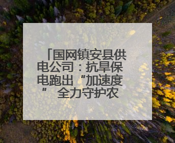 国网镇安县供电公司：抗旱保电跑出“加速度” 全力守护农田灌溉用电