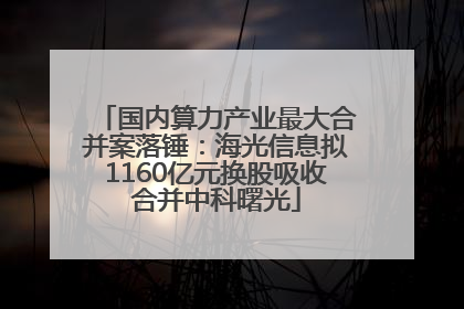 国内算力产业最大合并案落锤：海光信息拟1160亿元换股吸收合并中科曙光