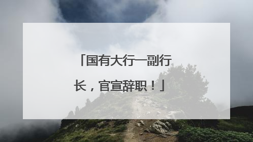 国有大行一副行长，官宣辞职！