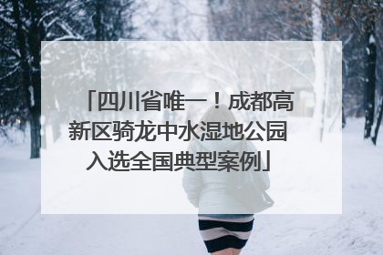 四川省唯一！成都高新区骑龙中水湿地公园入选全国典型案例