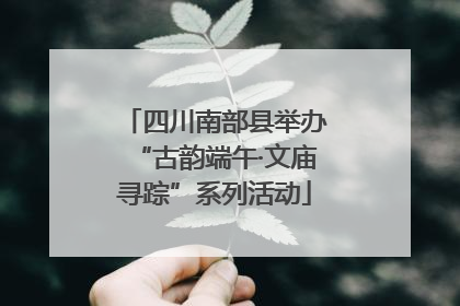 四川南部县举办“古韵端午·文庙寻踪”系列活动