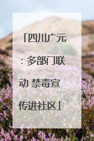 四川广元：多部门联动 禁毒宣传进社区