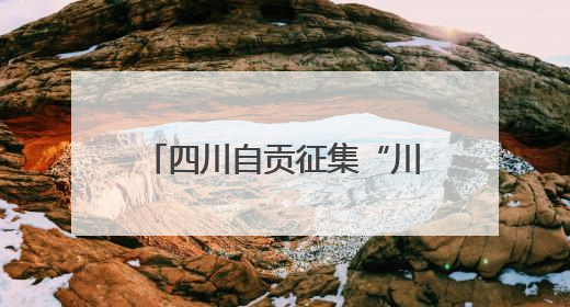 四川自贡征集“川超”队名进入投票阶段：“龙焱”“龙焰”暂居一二名