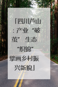 四川芦山：产业“破茧” 生态“织锦” 擘画乡村振兴新貌