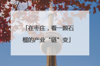 在枣庄，看一颗石榴的产业“链”变
