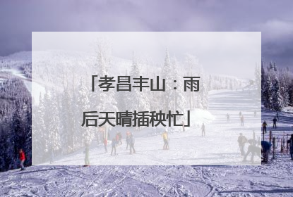 孝昌丰山：雨后天晴插秧忙