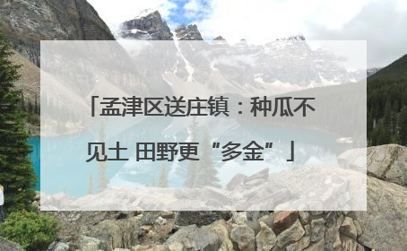 孟津区送庄镇：种瓜不见土 田野更“多金”