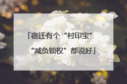 宿迁有个“村印宝” “减负锁权”都说好