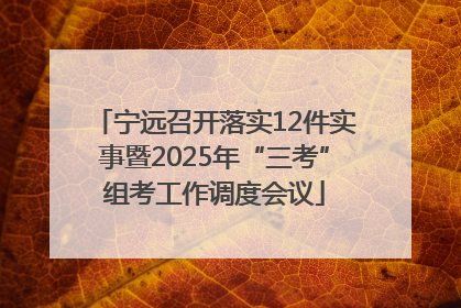 宁远召开落实12件实事暨2025年“三考”组考工作调度会议