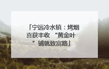 宁远冷水镇：烤烟喜获丰收 “黄金叶”铺就致富路