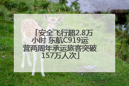 安全飞行超2.8万小时 东航C919运营两周年承运旅客突破157万人次