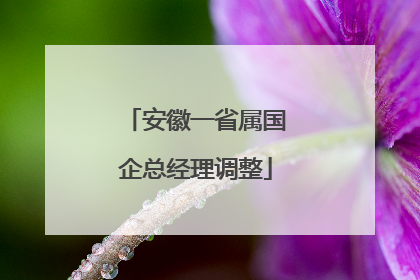 安徽一省属国企总经理调整