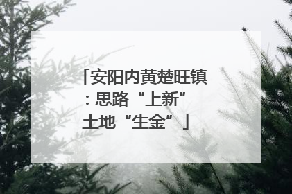 安阳内黄楚旺镇：思路“上新” 土地“生金”