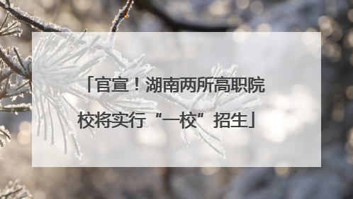 官宣！湖南两所高职院校将实行“一校”招生