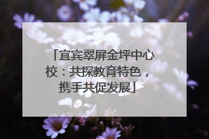 宜宾翠屏金坪中心校：共探教育特色，携手共促发展