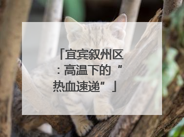 宜宾叙州区：高温下的“热血速递”