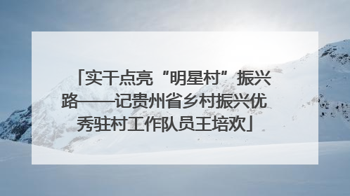 实干点亮“明星村”振兴路——记贵州省乡村振兴优秀驻村工作队员王培欢