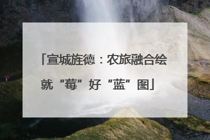 宣城旌德：农旅融合绘就“莓”好“蓝”图