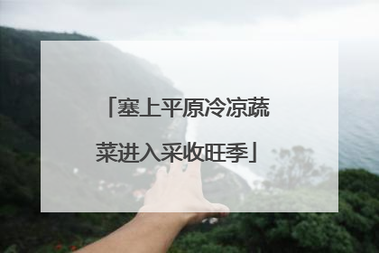 塞上平原冷凉蔬菜进入采收旺季