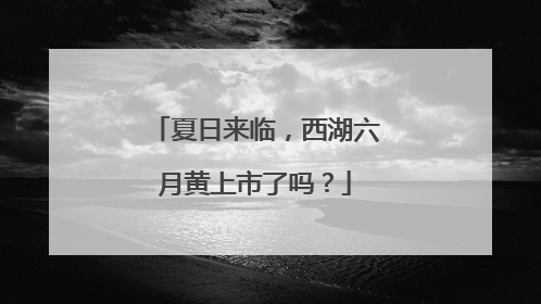 夏日来临，西湖六月黄上市了吗？