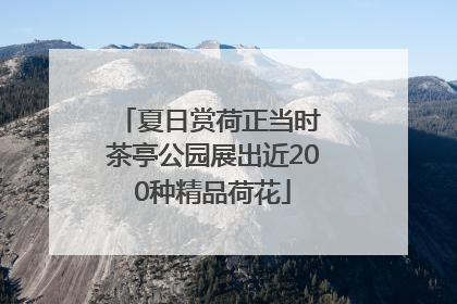 夏日赏荷正当时 茶亭公园展出近200种精品荷花