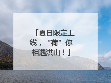 夏日限定上线，“荷”你相遇洪山！