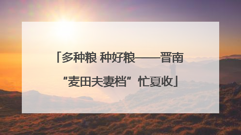 多种粮 种好粮——晋南“麦田夫妻档”忙夏收