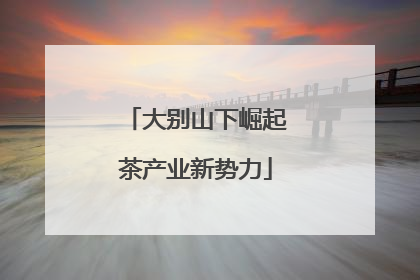 大别山下崛起茶产业新势力