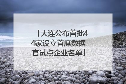 大连公布首批44家设立首席数据官试点企业名单
