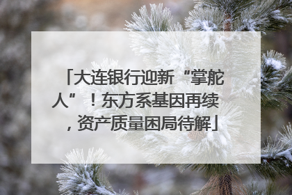 大连银行迎新“掌舵人”！东方系基因再续，资产质量困局待解